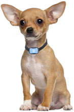 Load image into Gallery viewer, MASBRILL Small Dog Bark Collar - Smallest Anti Barking Collar for Small Medium Dogs - Small Most Humane Stop Barking Collar - No Shock Bark Collar - Safe Pet Bark Control