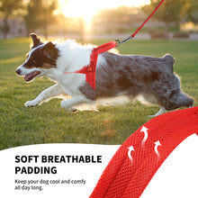 Load image into Gallery viewer, MASBRILL Light Up Dog Harness, Reflective Led Dog Harness Glow-in-The-Dark for Night Walking, USB Rechargeable Lighted Dog Safety Vest for Medium Dogs, Adjustable Soft Mesh No Pull Dog Harness