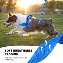 Load image into Gallery viewer, MASBRILL Light Up Dog Harness, Reflective Led Dog Harness Glow-in-The-Dark for Night Walking, USB Rechargeable Lighted Dog Safety Vest for Medium Dogs, Adjustable Soft Mesh No Pull Dog Harness