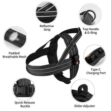 Load image into Gallery viewer, MASBRILL Light Up Dog Harness, Reflective Led Dog Harness Glow-in-The-Dark for Night Walking, USB Rechargeable Lighted Dog Safety Vest for Medium Dogs, Adjustable Soft Mesh No Pull Dog Harness