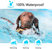 Load image into Gallery viewer, MASBRILL Electric Dog Fence, Underground Electric Dog Fence Rechargeable Dog Fence Collar 650 ft Wire with 2 Collars