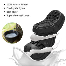 Load image into Gallery viewer, MASBRILL Squeaky Dog Toy Large Dog Chew Toys for Aggressive Chewers Rubber Dog Shoes Shape Toothbrush Toys