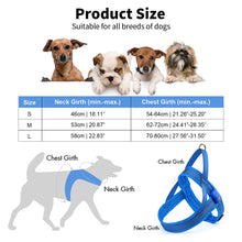 Load image into Gallery viewer, MASBRILL Light Up Dog Harness, Reflective Led Dog Harness Glow-in-The-Dark for Night Walking, USB Rechargeable Lighted Dog Safety Vest for Medium Dogs, Adjustable Soft Mesh No Pull Dog Harness