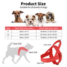 Load image into Gallery viewer, MASBRILL Light Up Dog Harness, Reflective Led Dog Harness Glow-in-The-Dark for Night Walking, USB Rechargeable Lighted Dog Safety Vest for Medium Dogs, Adjustable Soft Mesh No Pull Dog Harness