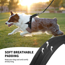 Load image into Gallery viewer, MASBRILL Light Up Dog Harness, Reflective Led Dog Harness Glow-in-The-Dark for Night Walking, USB Rechargeable Lighted Dog Safety Vest for Medium Dogs, Adjustable Soft Mesh No Pull Dog Harness