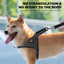 Load image into Gallery viewer, MASBRILL Reflective Dog Harness No Pull No Choking with Handle, Breathable Mesh Padded Dog Chest Adjustable Dog Harness