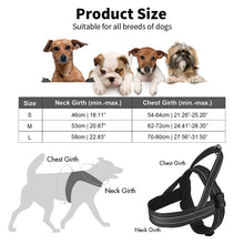 Load image into Gallery viewer, MASBRILL Light Up Dog Harness, Reflective Led Dog Harness Glow-in-The-Dark for Night Walking, USB Rechargeable Lighted Dog Safety Vest for Medium Dogs, Adjustable Soft Mesh No Pull Dog Harness