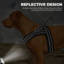 Load image into Gallery viewer, MASBRILL Reflective Dog Harness No Pull No Choking with Handle, Breathable Mesh Padded Dog Chest Adjustable Dog Harness