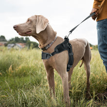 Load image into Gallery viewer, MASBRILL No Pull Dog Harness, Mesh Breathable Padded Dog Vest Harness Step-in No Choke Adjustable Dog Harness for Small Medium Large Dogs - Blue S