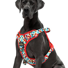 Load image into Gallery viewer, MASBRILL No Pull Dog Harness, Reflective Dog Vest with Handle No Choke Soft Padded Dog Harness for Small Medium Large Dog