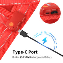 Load image into Gallery viewer, MASBRILL Light Up Dog Harness, Reflective Led Dog Harness Glow-in-The-Dark for Night Walking, USB Rechargeable Lighted Dog Safety Vest for Medium Dogs, Adjustable Soft Mesh No Pull Dog Harness