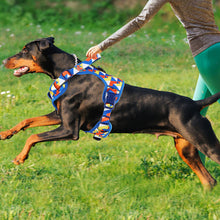 Load image into Gallery viewer, MASBRILL No Pull Dog Harness, Reflective Dog Vest with Handle No Choke Soft Padded Dog Harness for Small Medium Large Dog