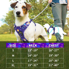 Load image into Gallery viewer, MASBRILL No Pull Dog Harness, Reflective Dog Vest with Handle No Choke Soft Padded Dog Harness for Small Medium Large Dog