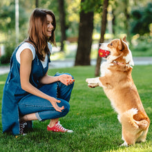 Load image into Gallery viewer, MASBRILL Rubber Dog Chew Toys, Treat Food Dispensing Dog Toys for Teeth Cleaning, Interactive Dog Toys for Small Medium Large Dogs