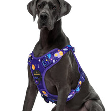 Load image into Gallery viewer, MASBRILL No Pull Dog Harness, Reflective Dog Vest with Handle No Choke Soft Padded Dog Harness for Small Medium Large Dog