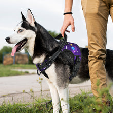 Load image into Gallery viewer, MASBRILL No Pull Dog Harness, Reflective Dog Vest with Handle No Choke Soft Padded Dog Harness for Small Medium Large Dog