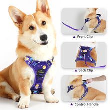 Load image into Gallery viewer, MASBRILL No Pull Dog Harness, Reflective Dog Vest with Handle No Choke Soft Padded Dog Harness for Small Medium Large Dog