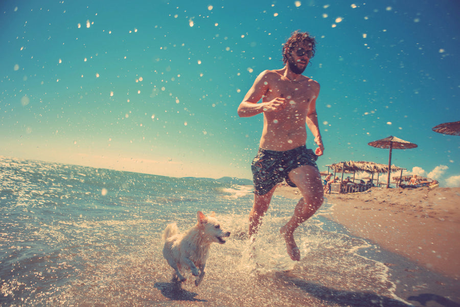 A Dog Owner’s Guide to an Environmentally Friendly Beach Day