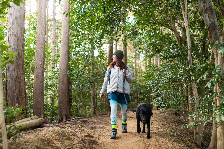 What to Pack When Hiking With a Dog