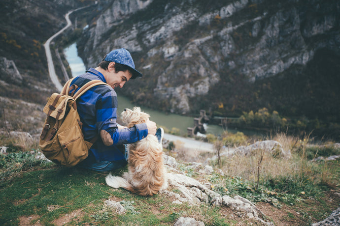 Mountain Hiking With Your Dog – 7 Things to Consider
