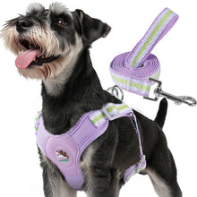 Load image into Gallery viewer, MASBRILL Dog Harness and Leash Set No Pull with Safety Lock, Adjustable Puppy Soft Vest, X-Shaped Pet Harness for Small Dog
