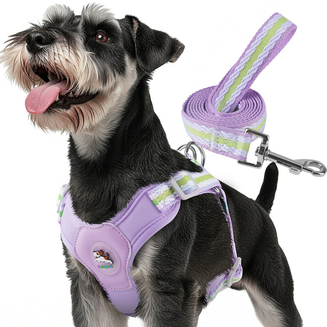 MASBRILL Dog Harness and Leash Set No Pull with Safety Lock, Adjustable Puppy Soft Vest, X-Shaped Pet Harness for Small Dog