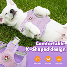 Load image into Gallery viewer, MASBRILL Dog Harness and Leash Set No Pull with Safety Lock, Adjustable Puppy Soft Vest, X-Shaped Pet Harness for Small Dog

