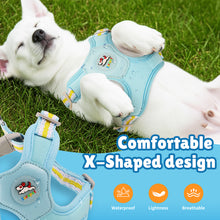 Load image into Gallery viewer, MASBRILL Dog Harness and Leash Set No Pull with Safety Lock, Adjustable Puppy Soft Vest, X-Shaped Pet Harness for Small Dog
