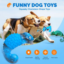 Load image into Gallery viewer, MASBRILL Dog Toys for Aggressive Chewers, Durable Chameleon Chew Toys for Small to Large Breeds-Interactive Toys with Fun Squeaky Sound for Boredom,Beef Flavor
