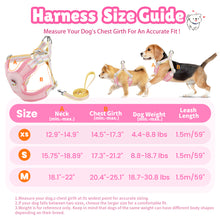 Load image into Gallery viewer, MASBRILL Dog Harness and Leash Set No Pull with Safety Lock, Adjustable Puppy Soft Vest, X-Shaped Pet Harness for Small Dog
