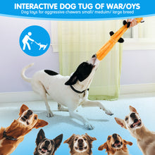 Load image into Gallery viewer, MASBRILL Squirrel Dog Squeaky Toys, 3PCS Crinkle Plush Dog Toys for Teething Chewing- No Stuffing&amp;With Soft Squeaker , Best Birthday Gift For Puppy to Large Size Breeds
