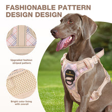 Load image into Gallery viewer, MASBRILL Reflective Dog Harness No Pull Dog Vest Harness with Handle, Breathable Padded Dog Chest Harness Adjustable for Medium Dog-Blue
