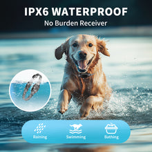 Load image into Gallery viewer, MASBRILL Shock Collar for Small Dogs -Dog Training Collar with Remote, Waterproof Rechargeable dog Collar with Beep , Vibration, Safe Shock and Security Lock, 180 Days Long Standby
