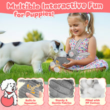 Load image into Gallery viewer, MASBRILL 10 Pack Puppy Chew Toys , Dog Toys for Small Dogs with Ropes, Treat Ball and Plush Squeaky to Keep Them Busy, Grey Rabbit
