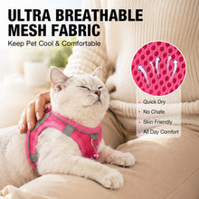 Load image into Gallery viewer, MASBRILL Cat &amp; Dog Harness and Leash Set, Reflective Escape-Proof No-Pull Soft Vest, Easy to Wear for Walking, Traveling, Includes Pet Bells
