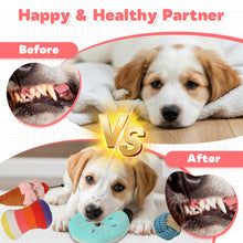 Load image into Gallery viewer, MASBRILL 10 Pack Puppy Chew Toys , Dog Toys for Small Dogs with Ropes, Treat Ball and Plush Squeaky to Keep Them Busy, Grey Rabbit
