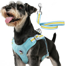 Load image into Gallery viewer, MASBRILL Dog Harness and Leash Set No Pull with Safety Lock, Adjustable Puppy Soft Vest, X-Shaped Pet Harness for Small Dog
