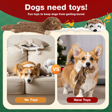 Load image into Gallery viewer, MASBRILL Dog Squeaky Toys, 5 PCS Crinkle Plush Dog Toys ,Stuffless Puppy Toys for Boredom,Teething and Chewing, Best Birthday Gift for Puppy to Large Size Breeds
