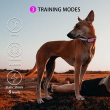 Load image into Gallery viewer, MASBRILL Dog Shock Collar with Remote Rechargeable Shock Collar for Medium Large Dogs, Electronic Training Collar Waterproof Shock Collar with 3 Training Modes Up to 1000ft
