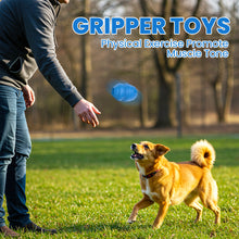 Load image into Gallery viewer, MASBRILL Fillable Dog Toys for Fetch &amp; Chew, Interactive Dog Toys for Aggressive Chewers, Treat Dispener for Smart Dogs, Boredom Busters, Beef Flavored
