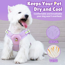 Load image into Gallery viewer, MASBRILL Dog Harness and Leash Set No Pull with Safety Lock, Adjustable Puppy Soft Vest, X-Shaped Pet Harness for Small Dog
