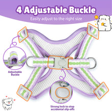 Load image into Gallery viewer, MASBRILL Dog Harness and Leash Set No Pull with Safety Lock, Adjustable Puppy Soft Vest, X-Shaped Pet Harness for Small Dog
