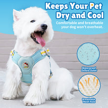 Load image into Gallery viewer, MASBRILL Dog Harness and Leash Set No Pull with Safety Lock, Adjustable Puppy Soft Vest, X-Shaped Pet Harness for Small Dog
