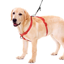 Load image into Gallery viewer, MASBRILL No Pull Dog Harness Soft Basic Nylon Adjustable Dog Vest Easy Walking Harness
