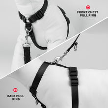 Load image into Gallery viewer, MASBRILL No Pull Dog Harness Soft Basic Nylon Adjustable Dog Vest Easy Walking Harness
