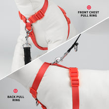 Load image into Gallery viewer, MASBRILL No Pull Dog Harness Soft Basic Nylon Adjustable Dog Vest Easy Walking Harness
