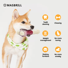 Load image into Gallery viewer, MASBRILL Dog Toys for Aggressive Chewers, Indestructible Durable Dog Chew Toys, Non-Toxic Food Grade Nylon Dog Bone Toy Reduces Boredom, For Small Medium and Large Breed
