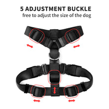 Load image into Gallery viewer, MASBRILL No Pull Dog Harness Soft Basic Nylon Adjustable Dog Vest Easy Walking Harness
