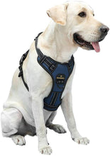 Load image into Gallery viewer, MASBRILL Reflective Dog Harness No Pull Dog Vest Harness with Handle, Breathable Padded Dog Chest Harness Adjustable for Medium Dog-Blue
